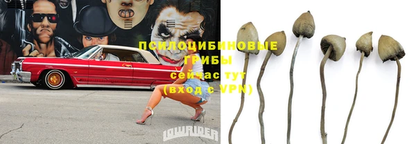 ПСИЛОЦИБИНОВЫЕ ГРИБЫ Баксан